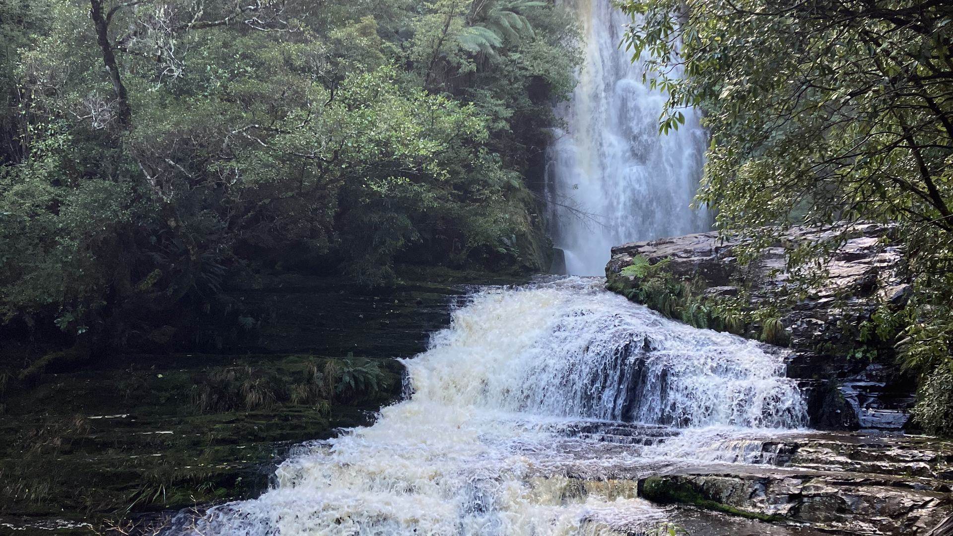 A waterfall tumbling through native bush